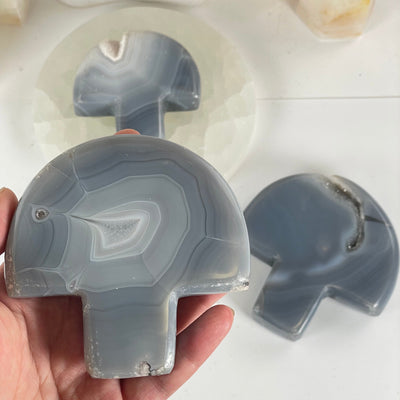 Agate Druzy Crystal Mushroom - You Choose one variant in hand for size reference with other variants in the background