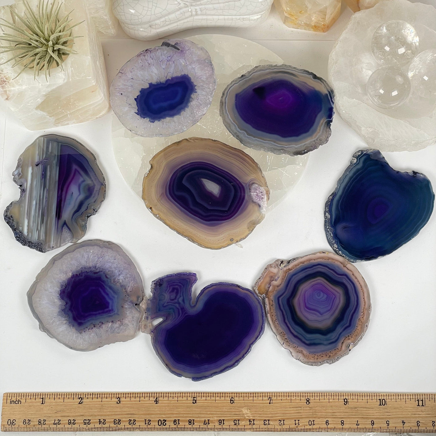 Purple Agate Slice Coasters Set - Set of 8 Small Coasters all coasters top view with ruler for size reference