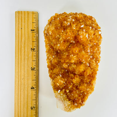 citrine cluster next to a ruler for size reference