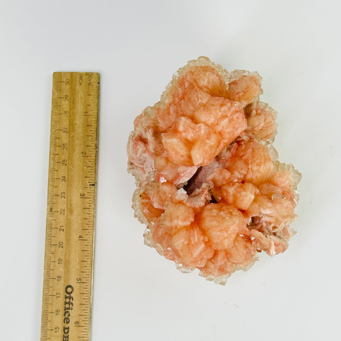 peach apophyllite next to a ruler for size reference
