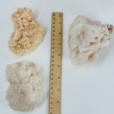 halite clusters next to a ruler for size reference