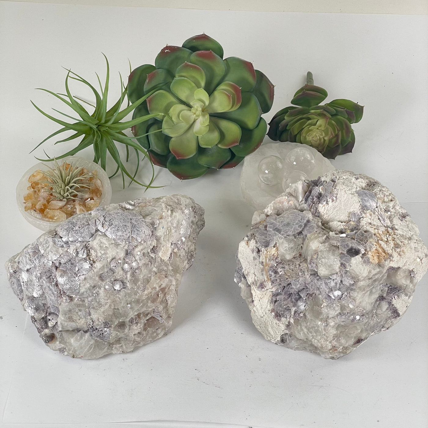 Botryoidal Lepidolite Large Crystal Cluster - You Choose both variants with props and plants in the background