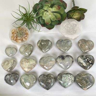Garnierite Green Moonstone Crystal Heart - You Choose all variants with props and plants in the background