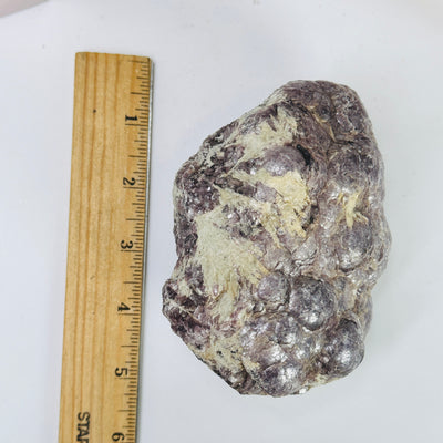 lepidolite next to a ruler for size reference