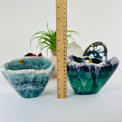 Fluorite Semi Polished Crystal Bowl with Rough Rim - You Choose both variants with ruler for size reference