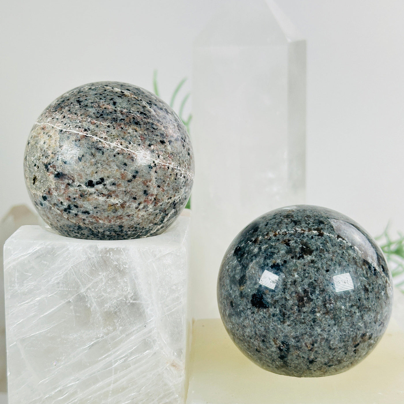Yooperlite Crystal Sphere - UV Reactive - You Choose both variants in bright lighting with props and plants in the background