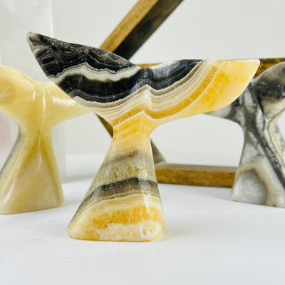 Mexican onyx whale tail with decorations in the background