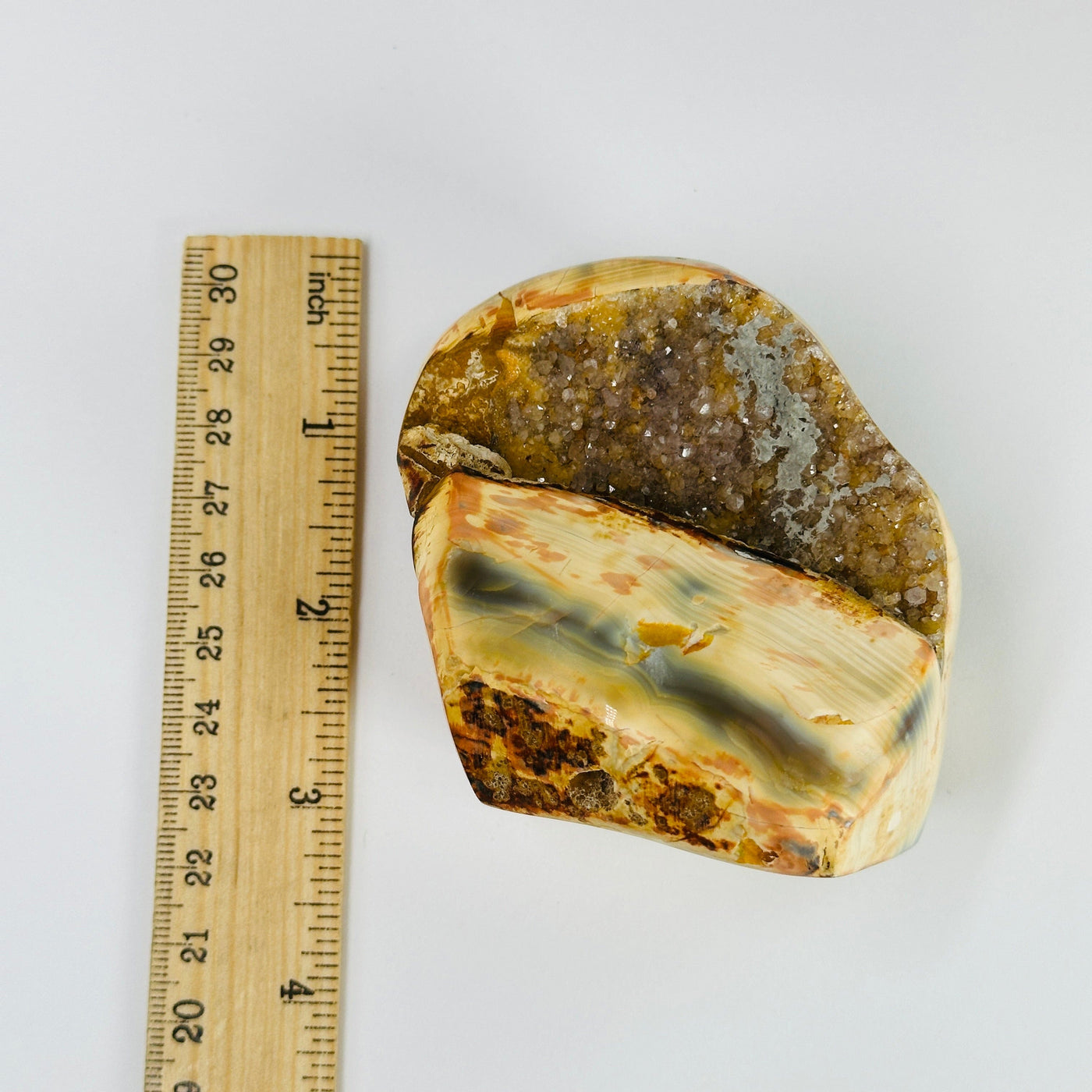 agate cut base next to a ruler for size reference