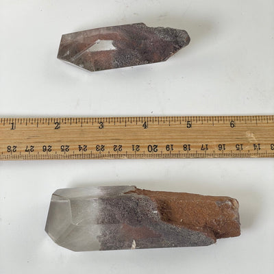 Garden Quartz Lodalite Polished Crystal Prisms next to a ruler for size reference