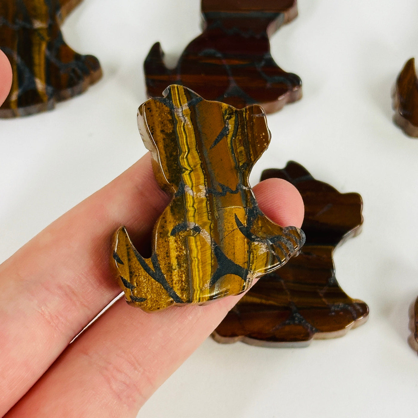 fingers holding up tigers eye dog cabochons