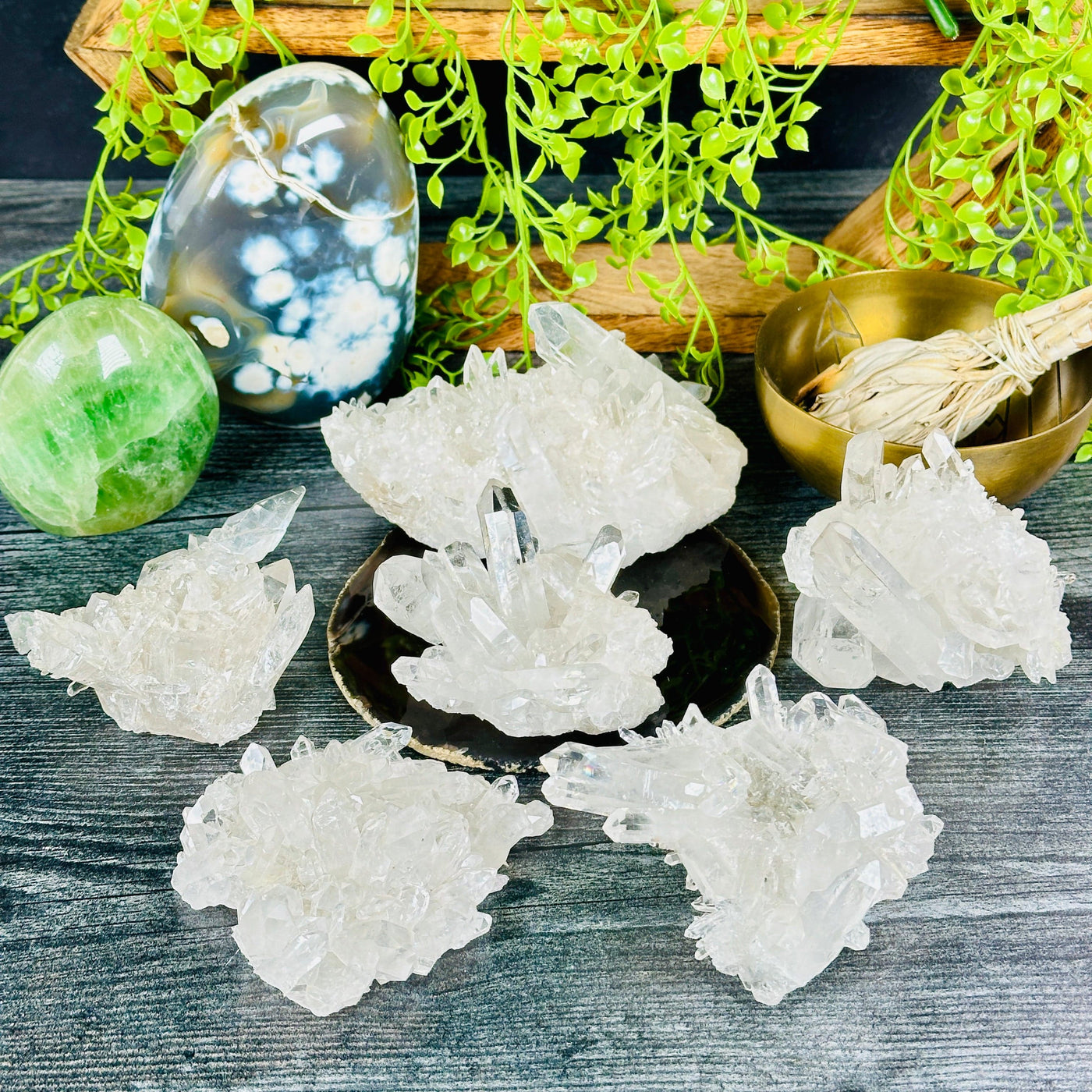 Crystal Quartz Cluster - AA Grade - You Choose #6 all variants with props and plants in the background