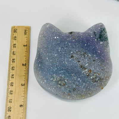 agate cat head next to a ruler for size reference