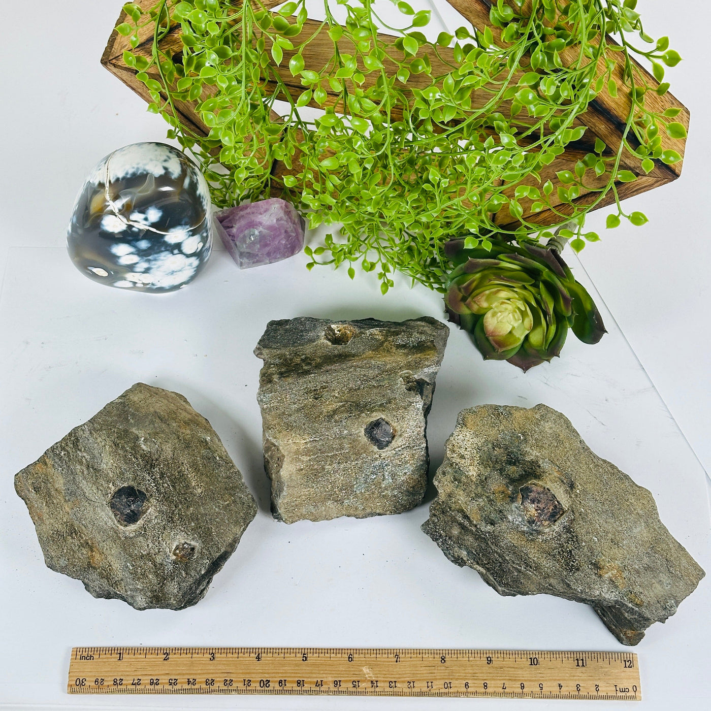 Garnet Crystals in Mica Schist - You Choose #2 all variants with ruler for size reference
