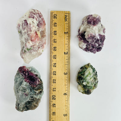 watermelon tourmaline next to a ruler for size reference