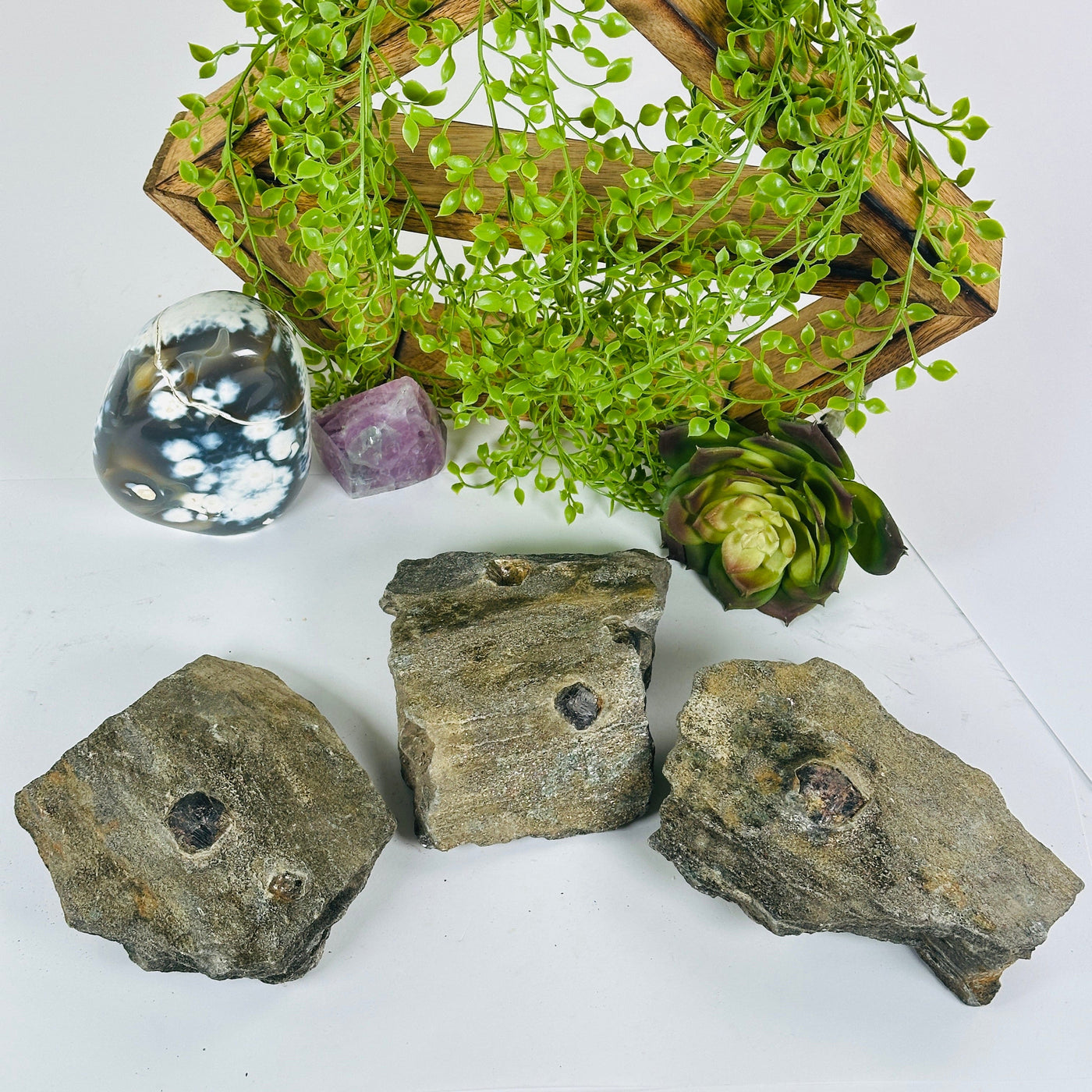 Garnet Crystals in Mica Schist - You Choose #2 all variants top view