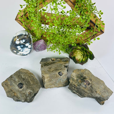 Garnet Crystals in Mica Schist - You Choose #2 all variants top view