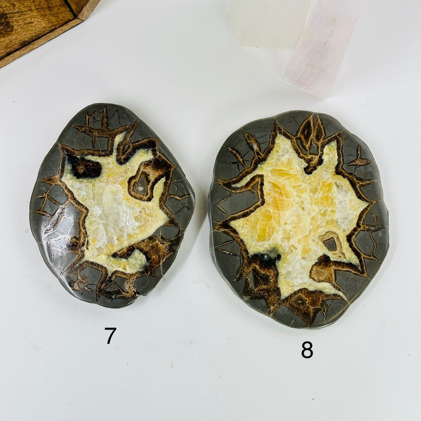 Septarian coaster with decorations in the background 