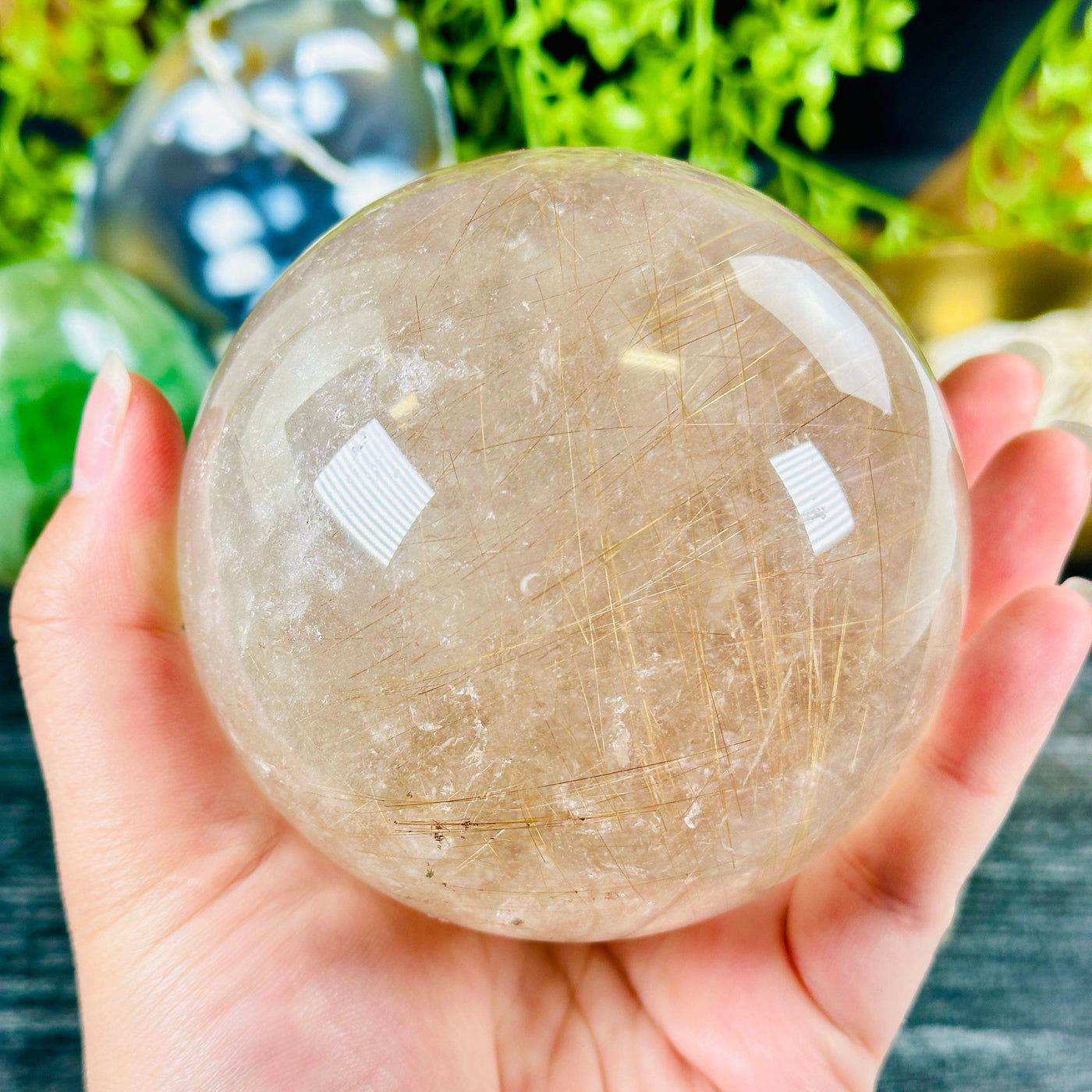 Rutilated Quartz Crystal Sphere - One-of-a-Kind in hand for size reference with plants and props in the background
