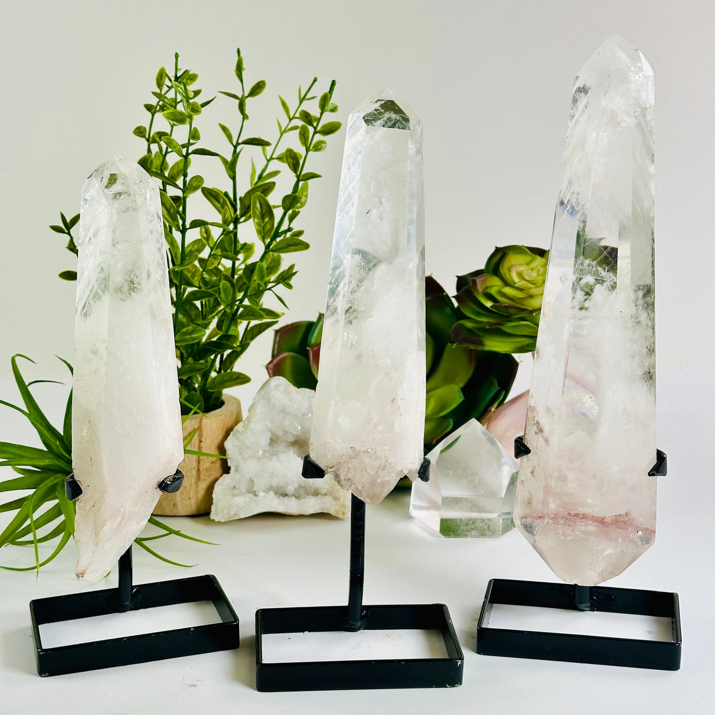 Crystal Quartz Point with Phantoms on Stand - You Choose #2 all variants with plants and props in the background