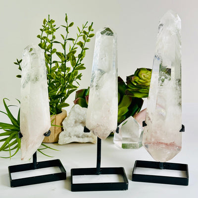 Crystal Quartz Point with Phantoms on Stand - You Choose #2 all variants with plants and props in the background