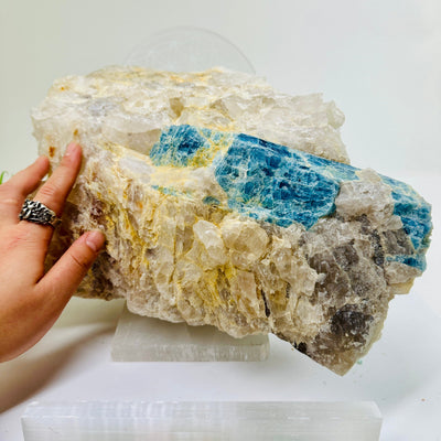 Aquamarine in matrix - giant aquamarine crystal embedded in large natural rough stone with hand for size reference