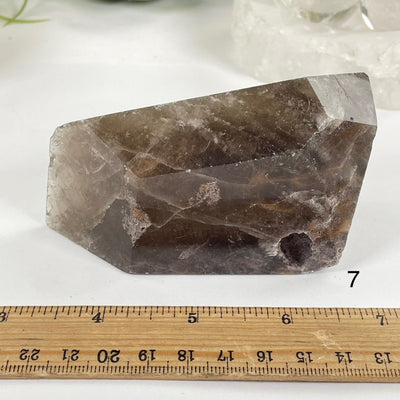 Amphibole Quartz Polished Freeform Crystal - As Is - You Choose variant 7 labeled with ruler for size reference