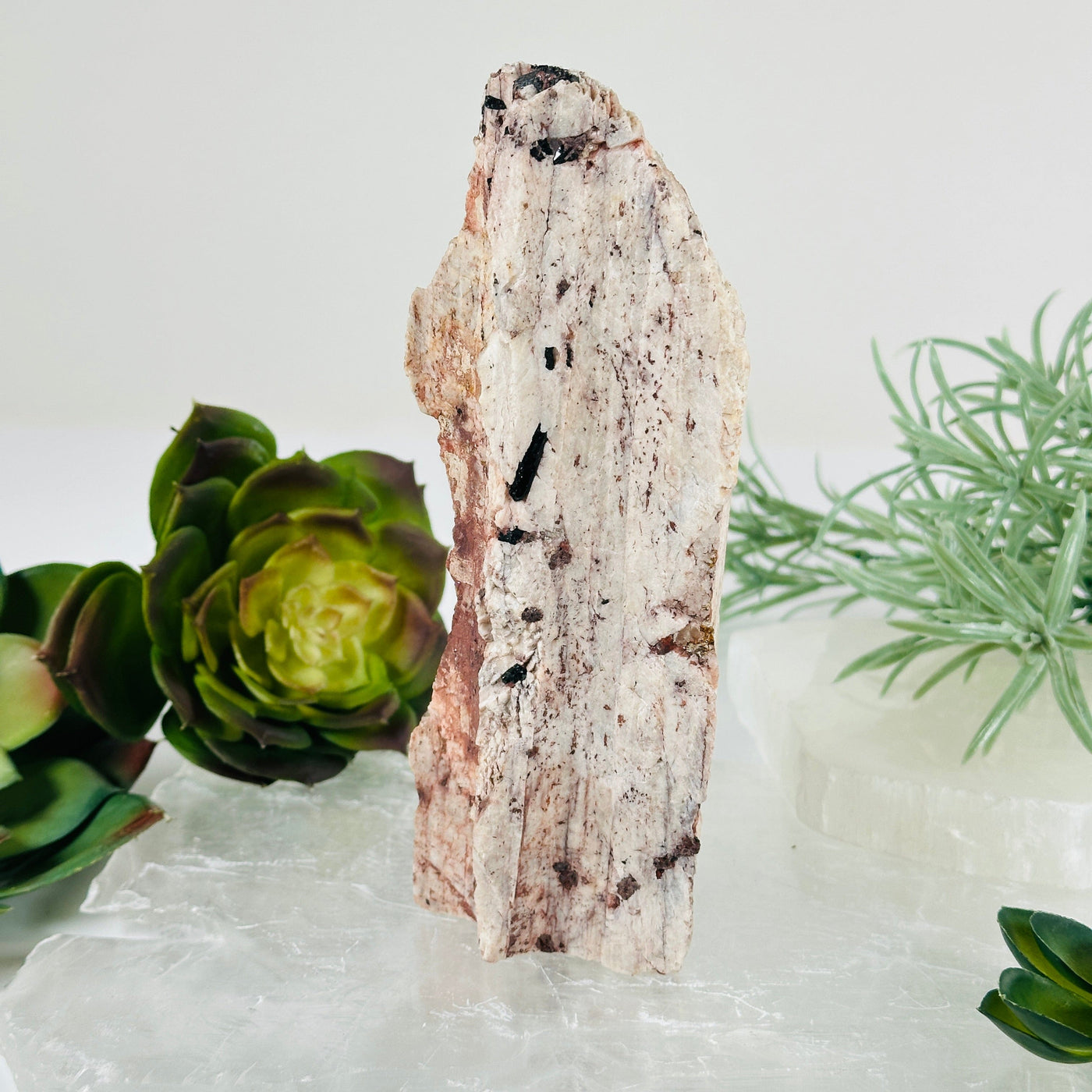 Black Tourmaline and Feldspar Rough Crystal Cut Base - One-of-a-Kind side view