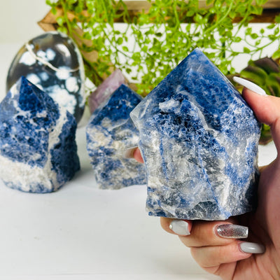Sodalite Semi Polished Crystal Point - You Choose variant 3 in hand for size reference with other variants in the background with props and plants