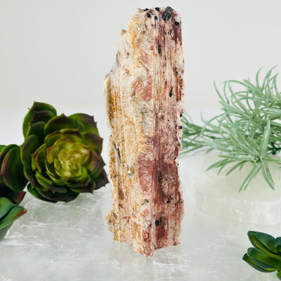 Black Tourmaline and Feldspar Rough Crystal Cut Base - One-of-a-Kind front view