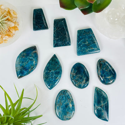Apatite Polished Crystal Pendant - Assorted Shapes - You Choose all variants with props and plants in the background