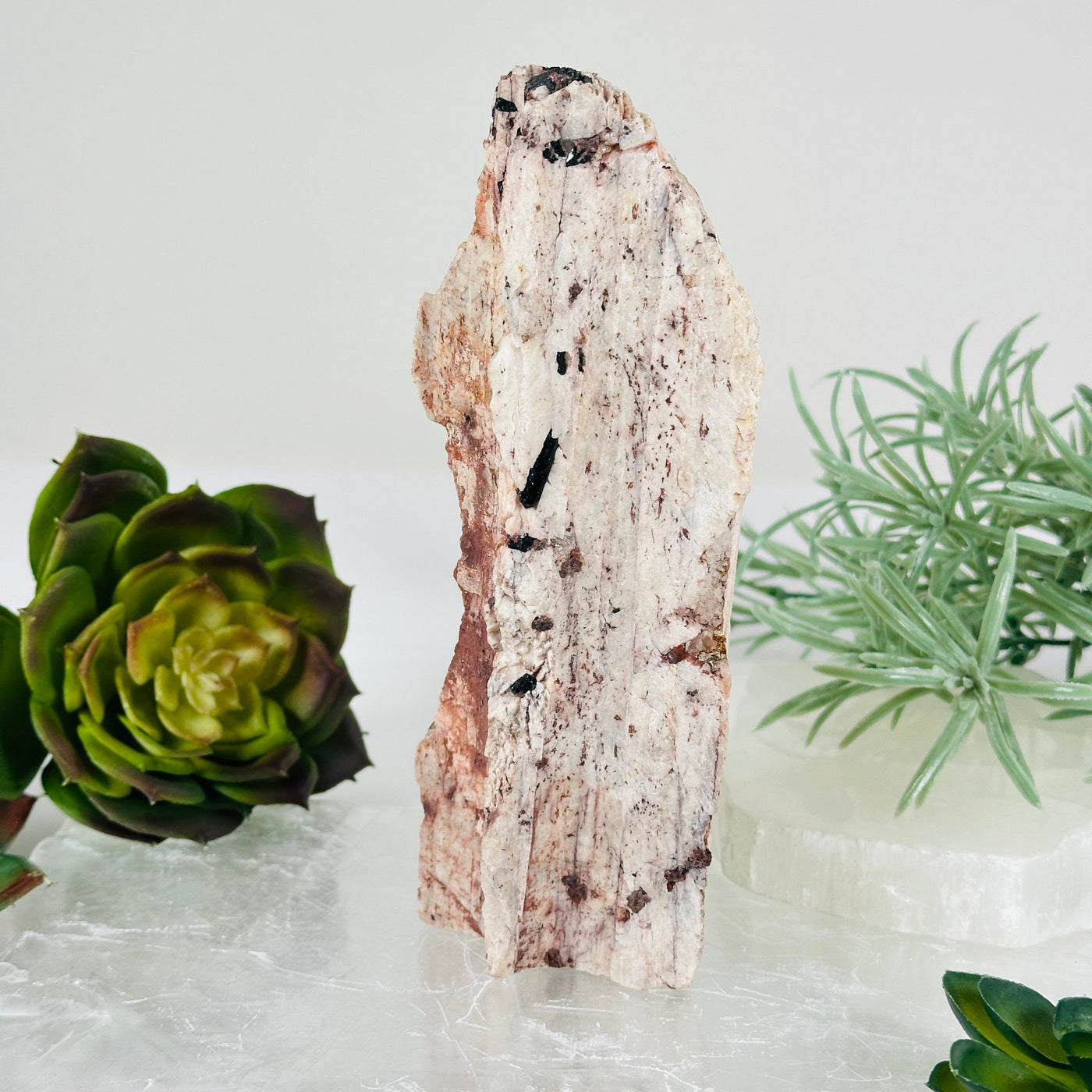 Black Tourmaline and Feldspar Rough Crystal Cut Base - One-of-a-Kind side view