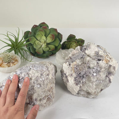Botryoidal Lepidolite Large Crystal Cluster - You Choose both variants with hand for size reference