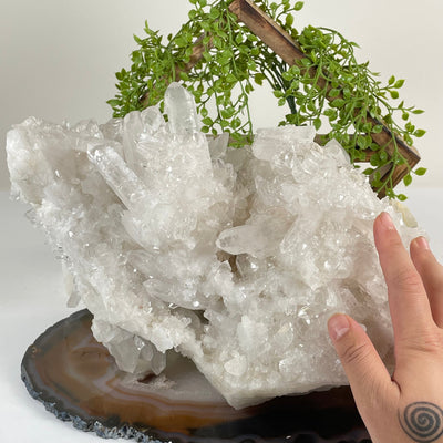 Large High Grade Crystal Quartz Cluster #2