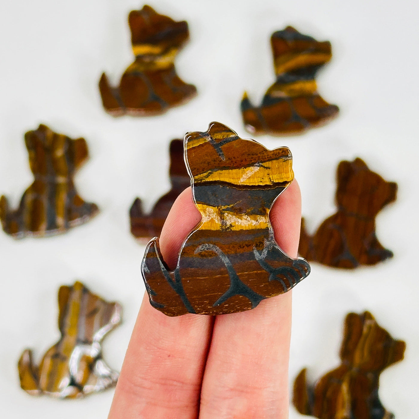 fingers holding up Tigers eye dog cabochon