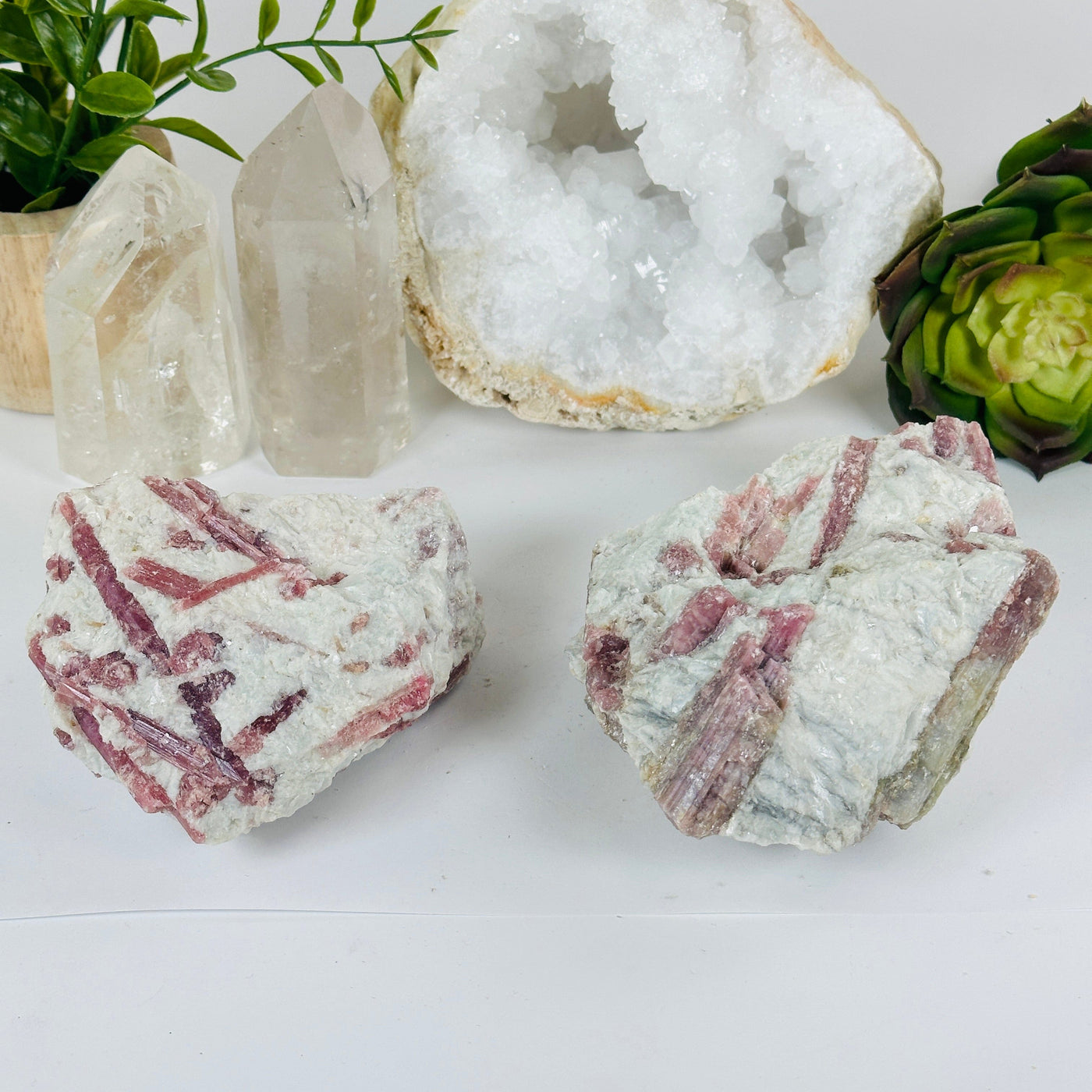 Pink Tourmaline Crystals on Aquamarine Matrix - You Choose #4 both variants with props and plants in the background