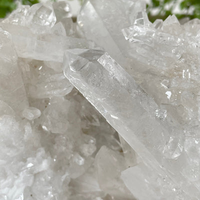 Large High Grade Crystal Quartz Cluster #2
