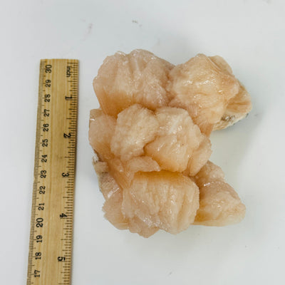 Peach stilbite next to a ruler for size reference 