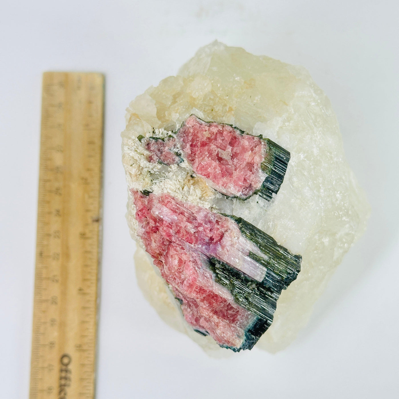 watermelon tourmaline next to a ruler for size reference