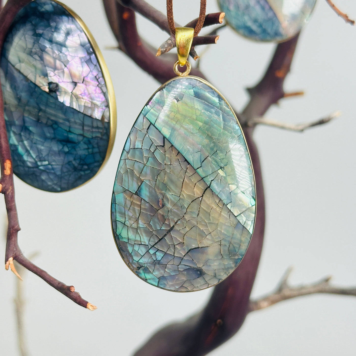 abalone ornament with decorations background