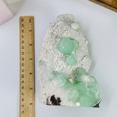 apophyllite cut base next to a ruler for size reference