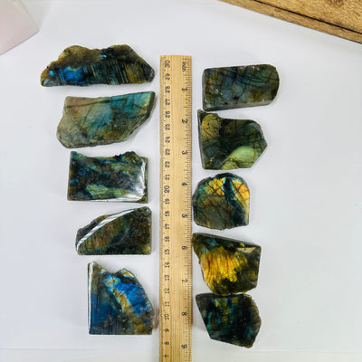 labradorite slab next to a ruler for size reference