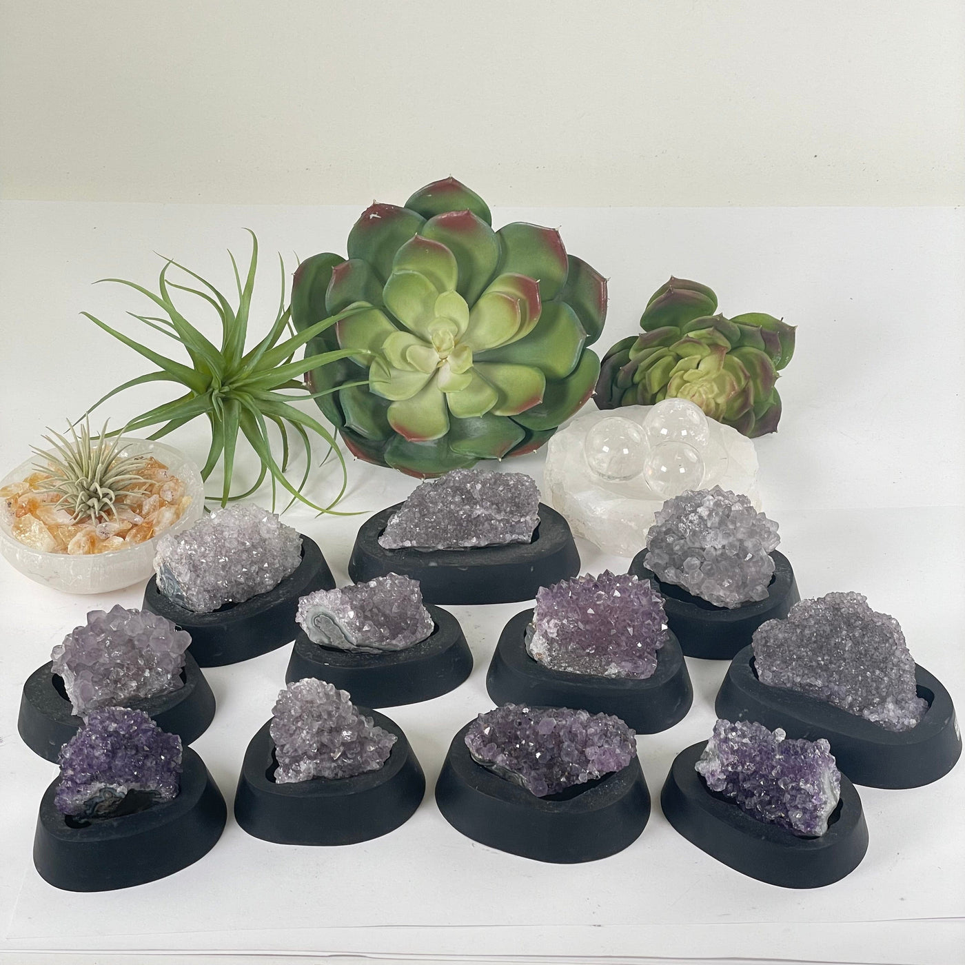Amethyst Pine Crystal Cluster on Wooden Base from Uruguay - You Choose #4 all variants with props and plants in the background