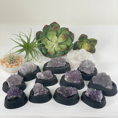 Amethyst Pine Crystal Cluster on Wooden Base from Uruguay - You Choose #4 all variants with props and plants in the background