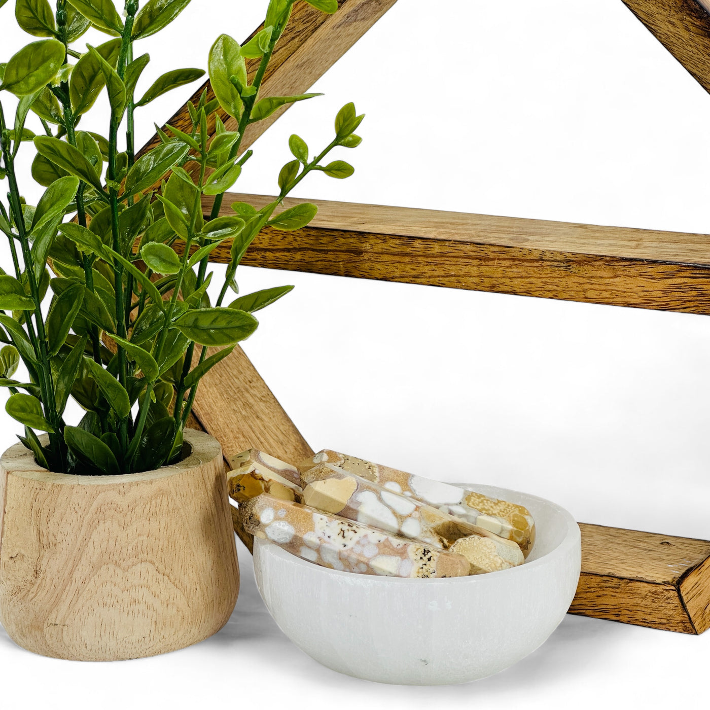 Leopard Skin Rhyolite Massage Points in a selenite bowl next to a potted plant and a wood shelf.