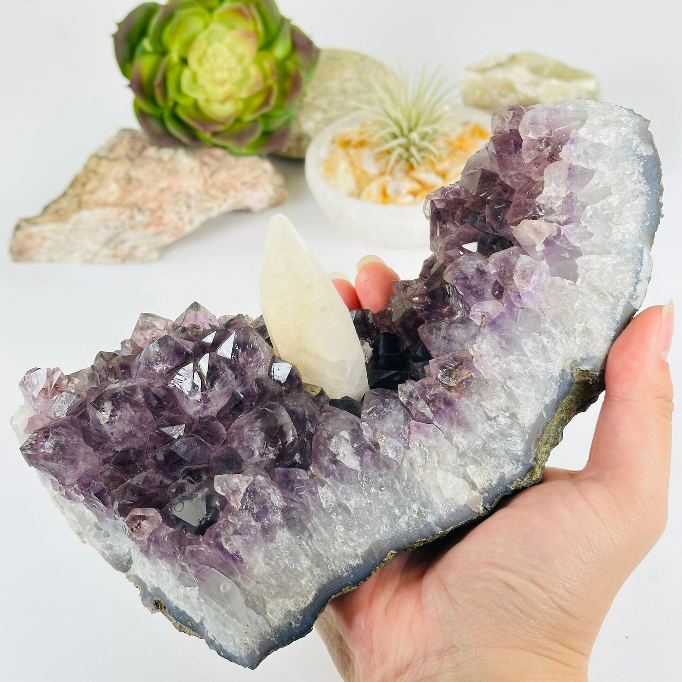 Amethyst Crystal Cluster with Calcite One-of-a-Kind #3 in hand for size reference with props and plants in the background