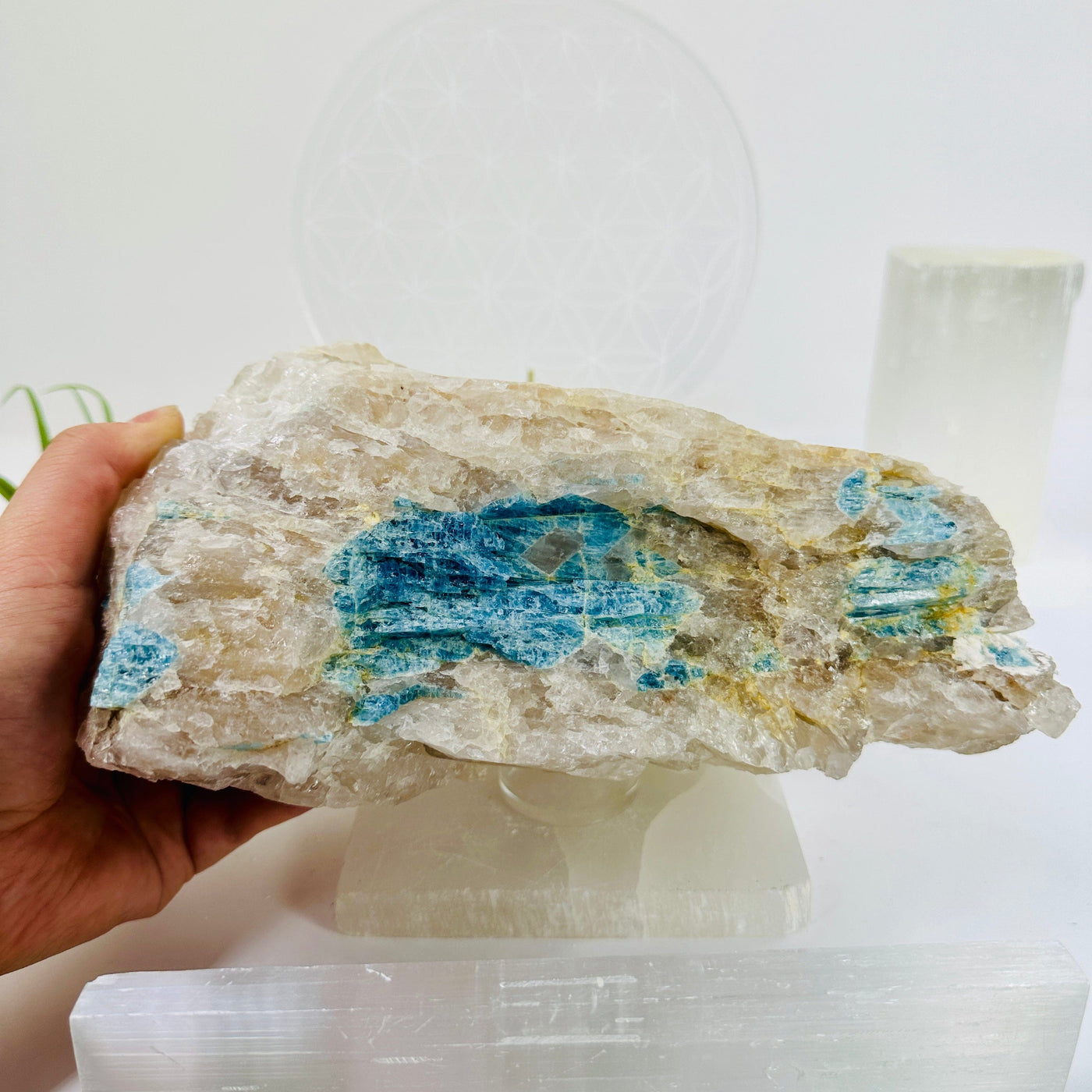 Aquamarine Crystal in Matrix