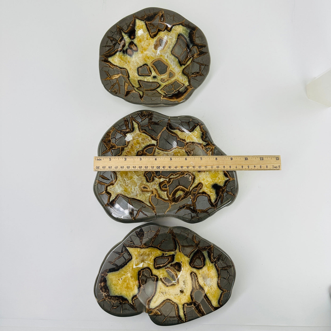 septarian bowls next to a ruler for size reference