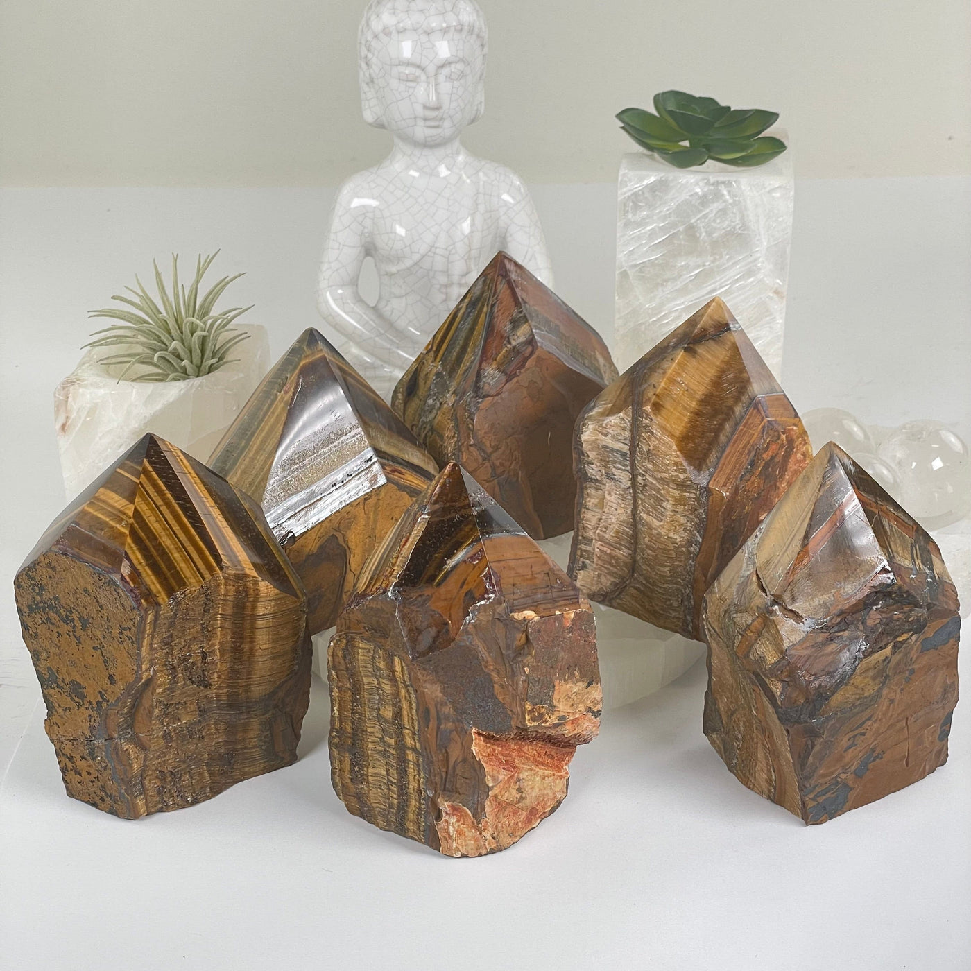 Tigers Eye Semi Polished Crystal Point - You Choose #2 all variants with props and plants in the background
