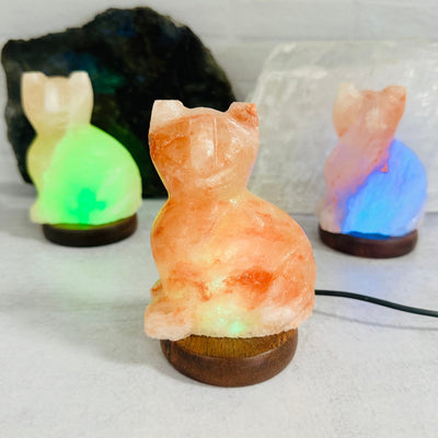 Himalayan Salt Cat Lamps displayed to show the differences in the color shades 