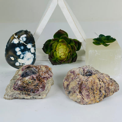 Lepidolite Rough Crystal Candle Holder - You Choose both variants in bright lighting with props and plants in the background